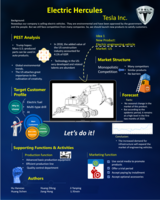 Electric hercules : Tesla Inc.