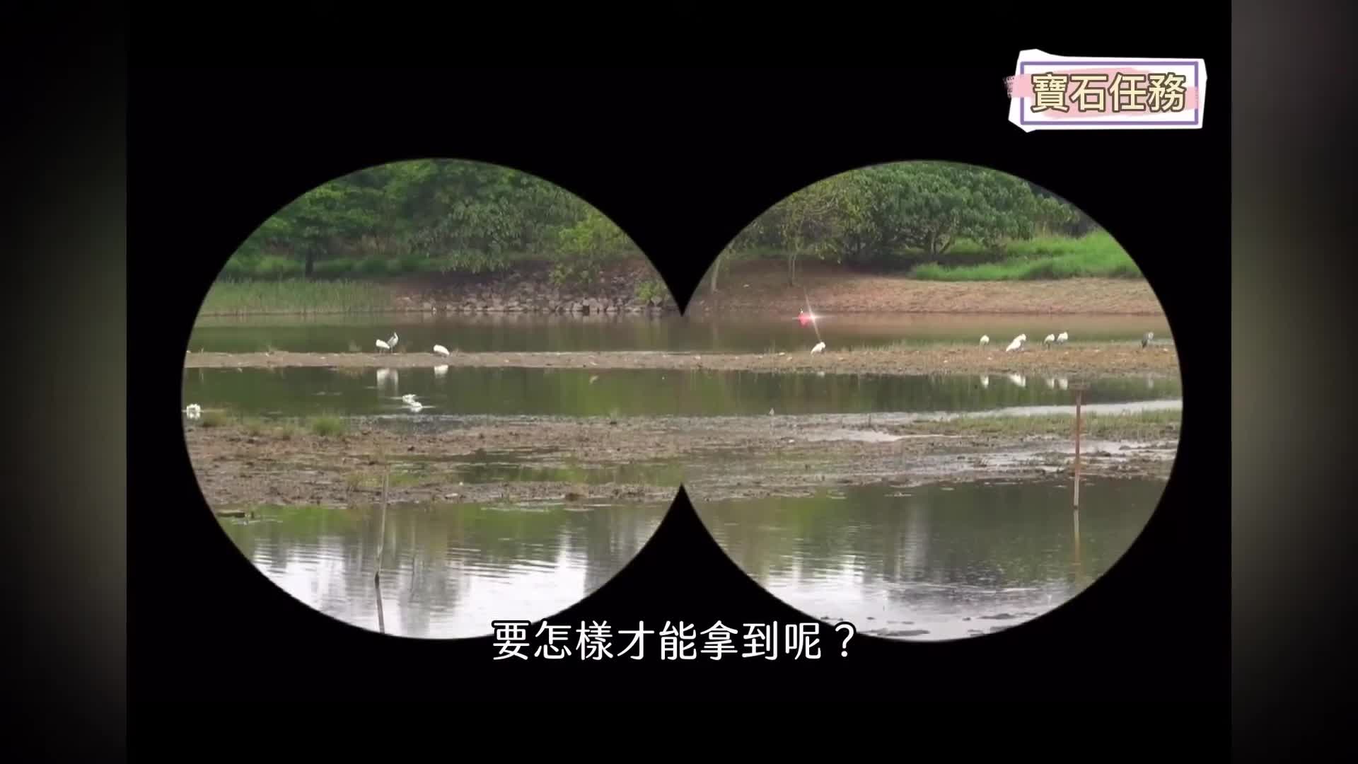 尋找濕地公園之旅